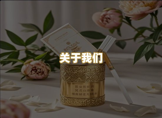 关于我们